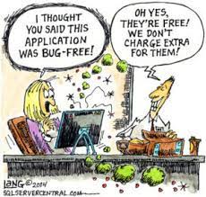 How to Estimate Software Bugs? And should You?